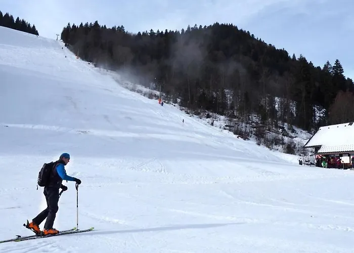 With 1 Bedroom Tatil Evi Menzenschwand-Hinterdorf